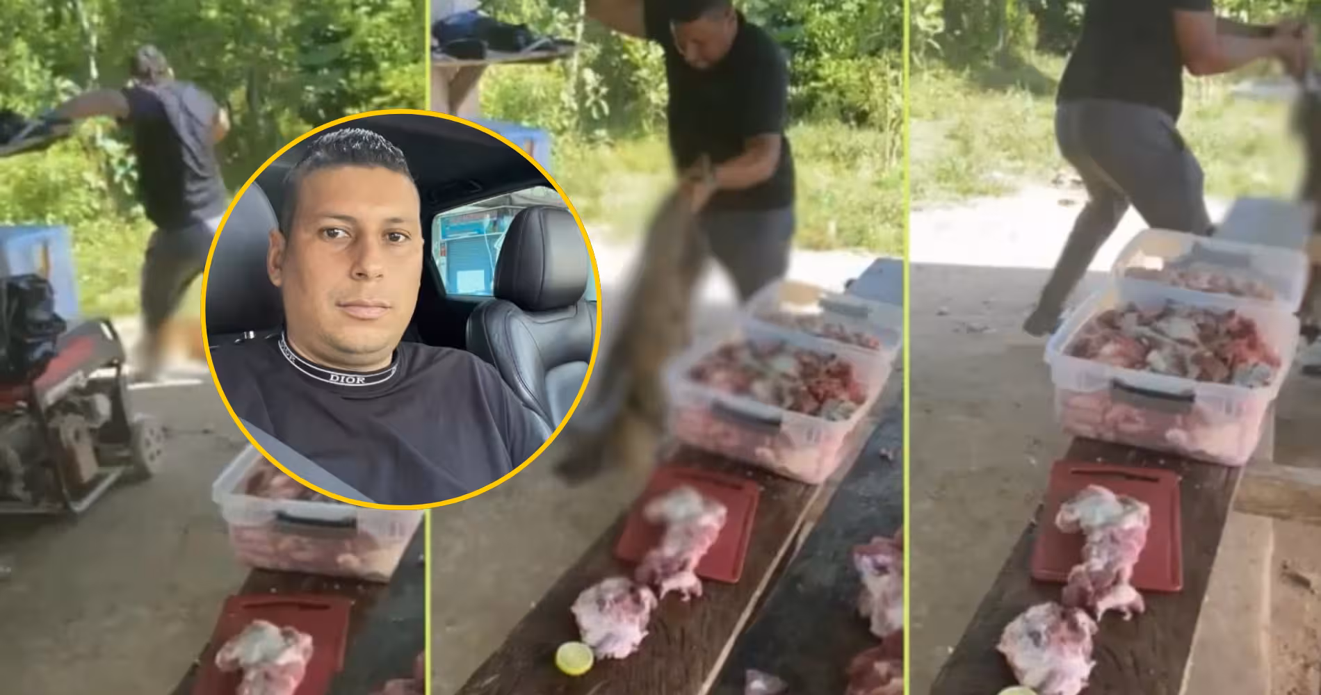 Fiscalía acusa a agresor de Bizcocho, el perro atacado en Bolívar
