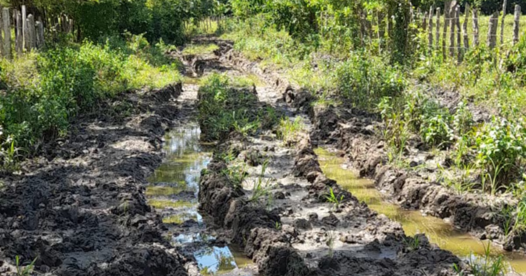 Ocho kilómetros de abandono afectan a más de 250 productores en Bolívar